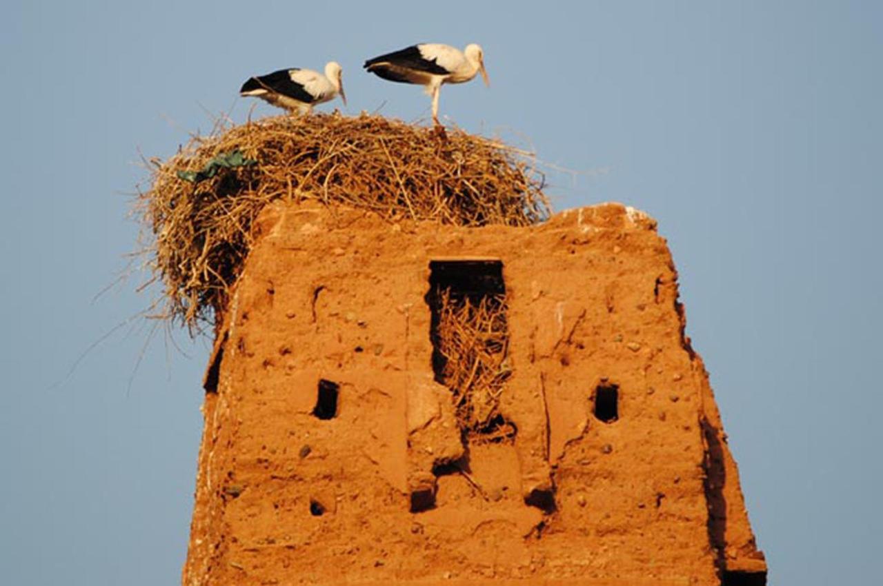 Appartement Anatim Ouarzazate Bagian luar foto